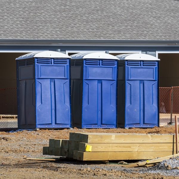 are there different sizes of portable toilets available for rent in Hague New York